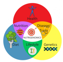 Nutrigenomics--300x297